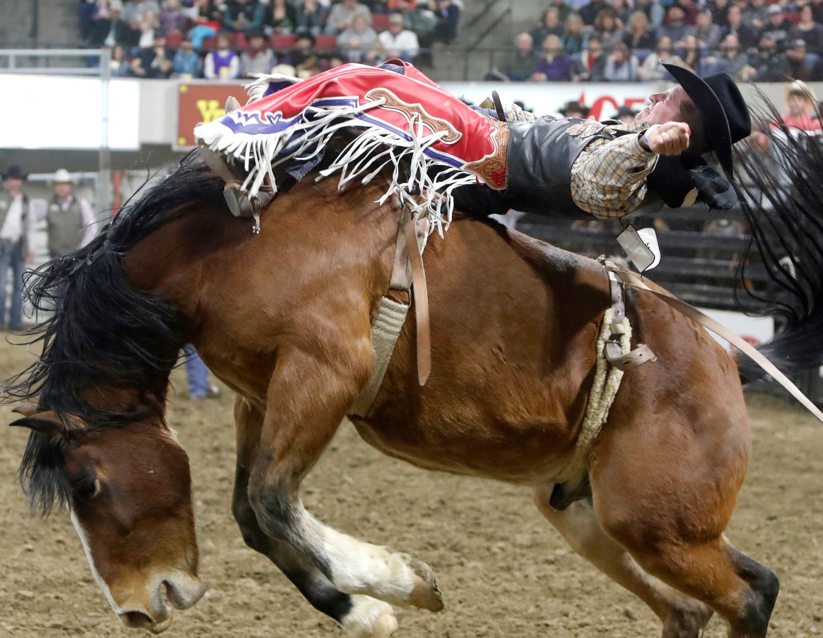 Chase Hawks Roughstock Invitational